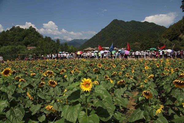 农村旅游