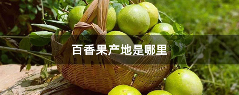 百香果产地是哪里