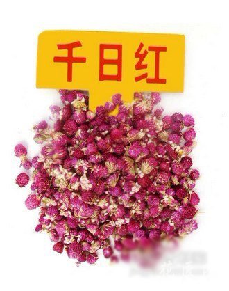 千日红副作用