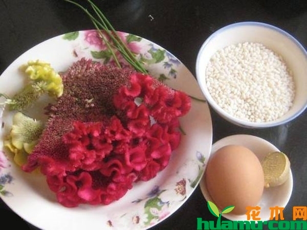 鸡冠花怎么吃？