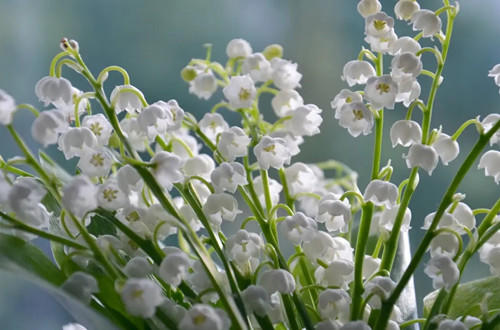 src=http___img.jj20.com_up_allimg_1114_0312210T309_2103120T309-1-1200.jpg&refer=http___img.jj20.webp_副本.jpg