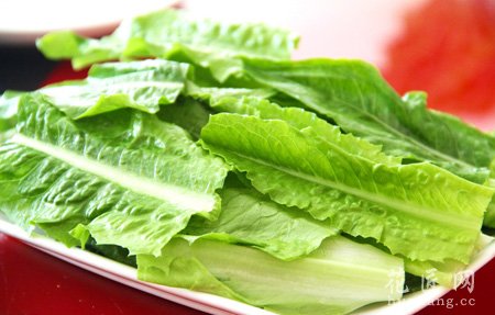 大棚油麦菜病虫害及其防治方法