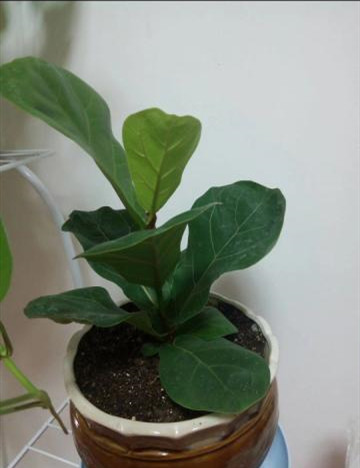 微信图片_20201230203839_副本.jpg