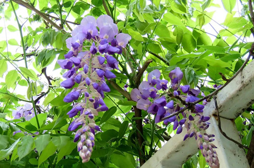 src=http___img3.myhsw.cn_2020-03-29_78x8f94f.jpg_201&refer=http___img3.myhsw.webp_副本.jpg
