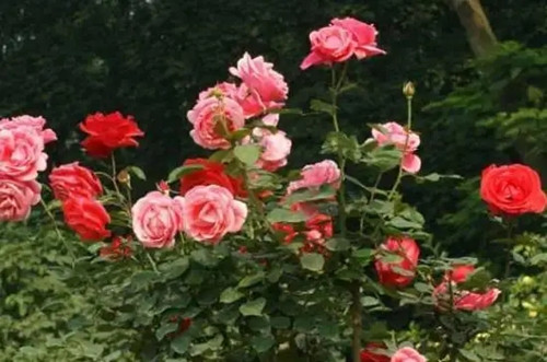 src=http___i.zw3e.com_uploads_allimg_210601_20-21060120292Y30.jpg&refer=http___i.zw3e.webp_副本.jpg