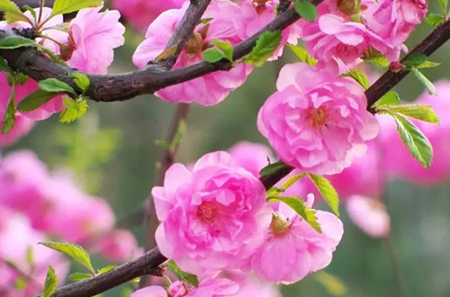 src=http___b103.photo.store.qq.com_psb__V12l8BQc2NeKA5_EB.nBi.Hg.9f1yjrcDtDQ28qurhbKKy60_Zhe_Gs7.4!_b_YYfVcD1QfQAAYvHCbT0ufgAA&ek=1&kp=1&pt=0&bo=IAMbAhw!&su=0199782273&sce=0-12-12&rf=2-9&refer=http___b103.ph.webp_副本.jpg