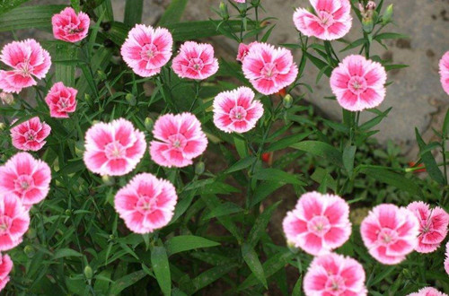 src=http___p1.ssl.qhimg.com_t0105eb0dd853d8ba3c.jpg&refer=http___p1.ssl.qhimg_副本.jpg