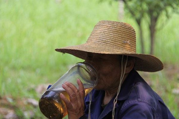 高温来袭，苗木人要做好防暑准备！