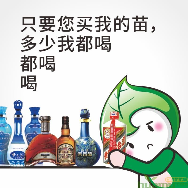 这就是苗木人，有喜有忧，不服输你就赢了!