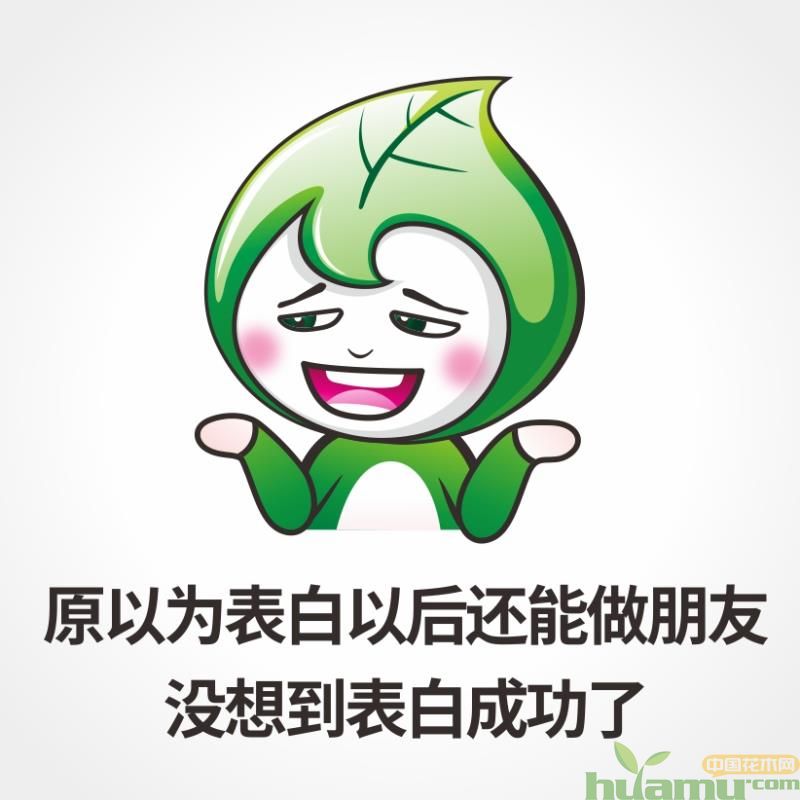 1551073987352517.jpg 8.jpg