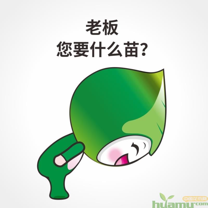 1551074012939402.jpg 2.jpg