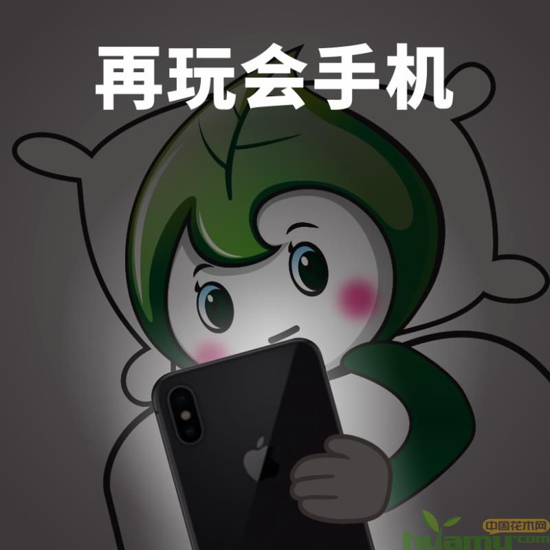 1551074278430738.jpg 18.jpg