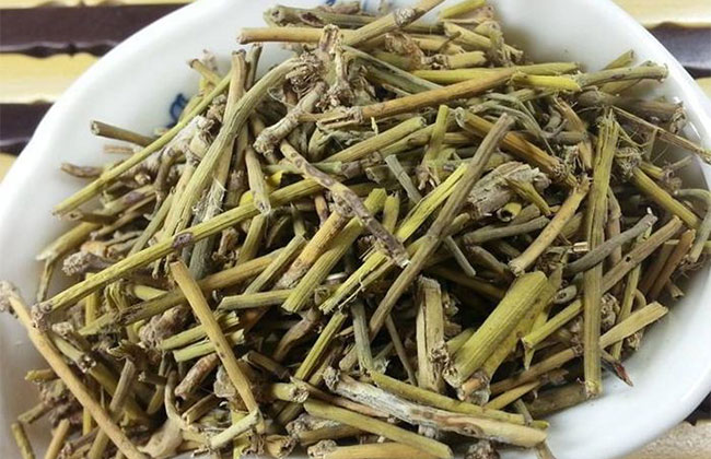 麻黄