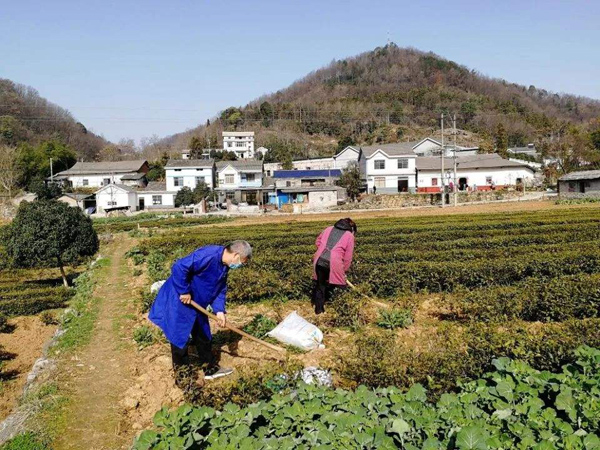 农民下地干活
