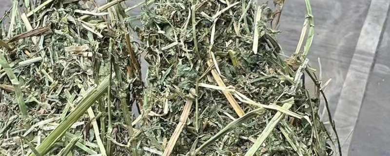 巴西柱花草亩产多少斤