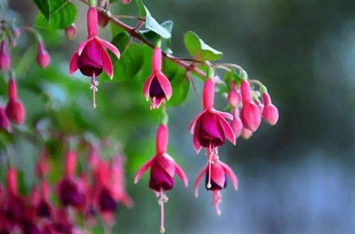 src=http___nimg.ws.126.net__url=http___dingyue.ws.126.net_2021_0807_8f35dfa3j00qxh6ud000vc000hs00bum.jpg&thumbnail=650x2147483647&quality=80&type=jpg&refer=http___nimg.ws.126_副本.jpg
