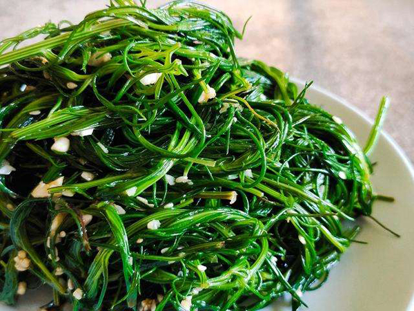 凉拌猪毛菜