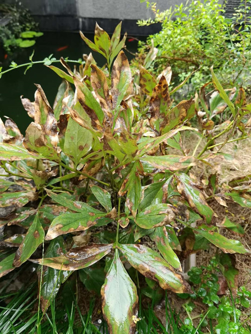 微信图片_20201029105850_副本.jpg