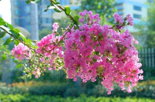 timg (6)_副本.jpg