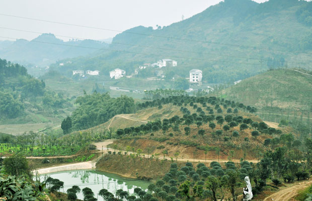 建苗圃2.jpg