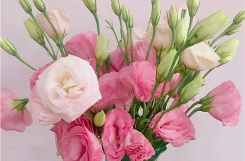 src=http___imagepphcloud.thepaper.cn_pph_image_67_554_852.jpg&refer=http___imagepphcloud.thepaper_副本.jpg
