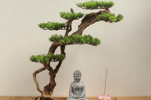 u=2404973770,1573183306&fm=15&gp=0_副本.jpg