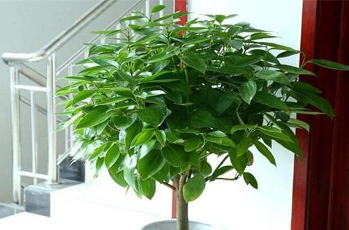 timg (1)_副本.jpg