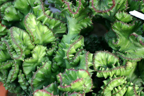 u=3654791678,949427546&fm=26&gp=0.jpg