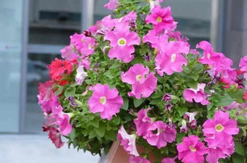 u=2574570228,3156336347&fm=253&fmt=auto&app=138&f=JPEG.webp_副本.jpg