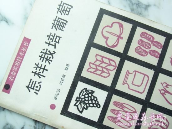 葡萄常见病害防治方法 http://www.ailianshuo.net 2014-05-14 作者: 爱莲说花卉网 葡