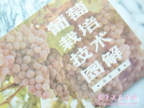 葡萄常见病害防治方法 http://www.ailianshuo.net 2014-05-14 作者: 爱莲说花卉网 葡