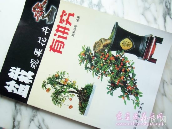 葡萄常见病害防治方法 http://www.ailianshuo.net 2014-05-14 作者: 爱莲说花卉网 葡