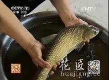 母山鸡拔尖儿的秘密 (20140603 )