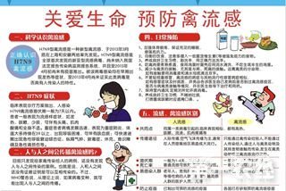 聚焦H7N9禽流感 常识解析一二