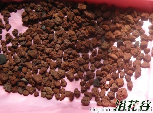 多肉植物配土方案(14种)