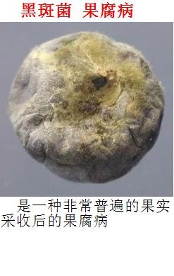 38.JPG