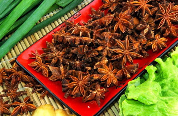 八角种植前景怎么样？八角种植每亩产量利润