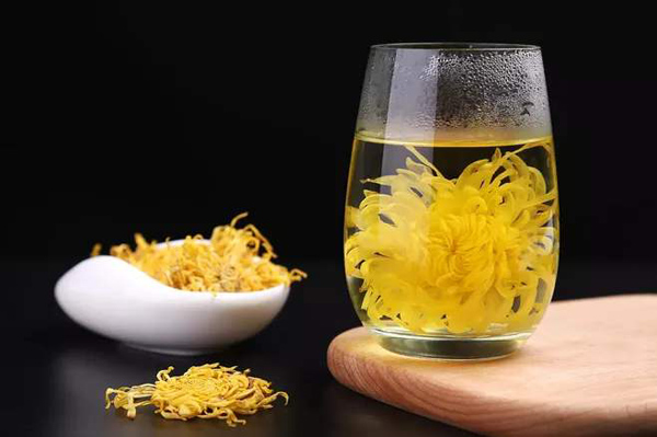 金丝皇菊的种植前景如何？金丝皇菊亩产及利润