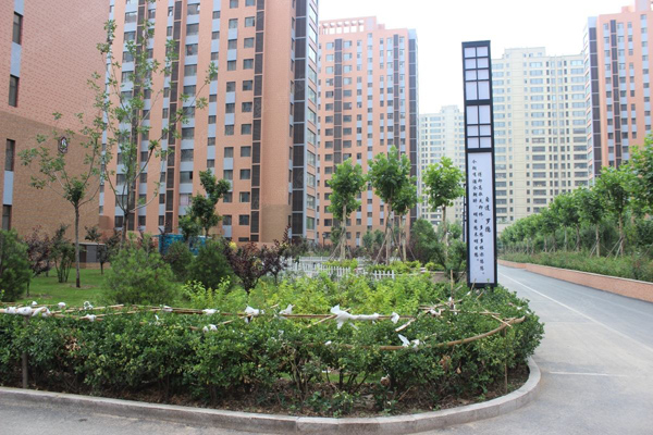 南北方小区绿化常用苗木有哪些？附品种介绍