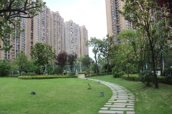 小区绿化