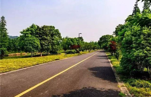 苗木需求2.jpg