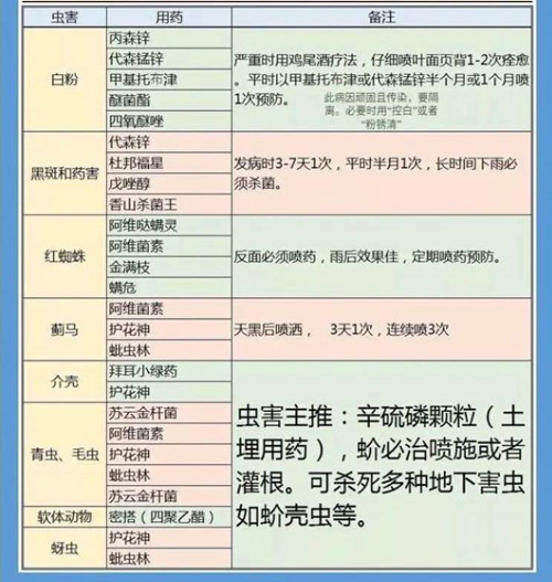 微信图片_20200708112406_副本.jpg