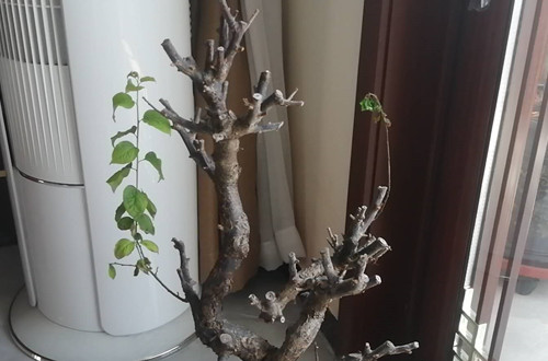 微信图片_20200818124900_副本.jpg