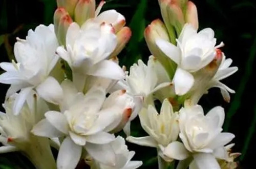 u=1734746142,777668449&fm=26&fmt=auto.webp_副本.jpg
