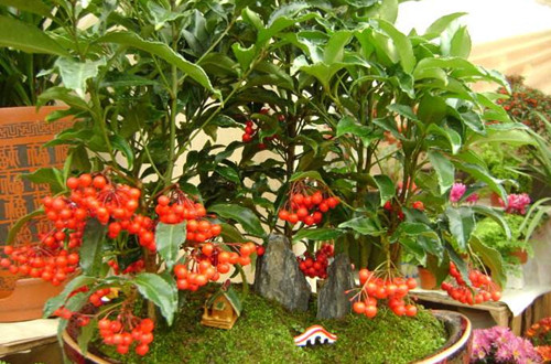 timg (1)_副本.jpg