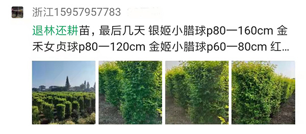 苗农的朋友圈
