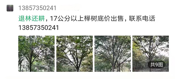苗农的朋友圈