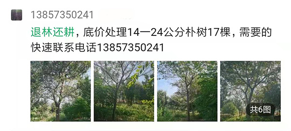 苗农的朋友圈