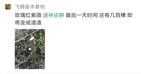 苗农的朋友圈