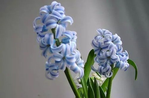 src=http___img2.manshijian.com_upload_member_image_31911_de5434153155d5708b5fe9045cbf4f15.jpg&refer=http___img2.manshijian_副本.jpg